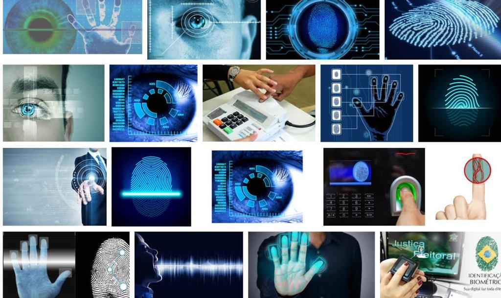 Biometria Biometria to technika dokonywania pomiarów istot żywych.