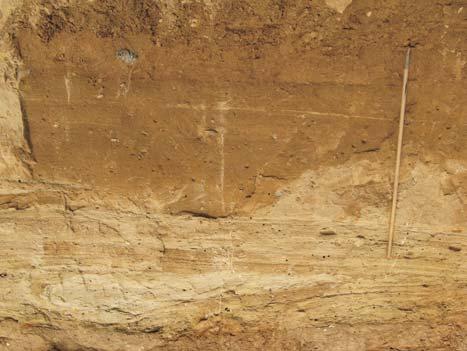 [m] 0 Obórki Dmm 1 Dms, Dml Dms Dmm Dms 2 Dmm 3 d œ g piasek sand diamikton diamicton wir gravel Sm, Sh, St diamikton diamicton piasek sand 20 cm okienko badawcze area of detail analysis 30 cm Ryc. 3. Profil litologiczny osadów w stanowisku Obórki.
