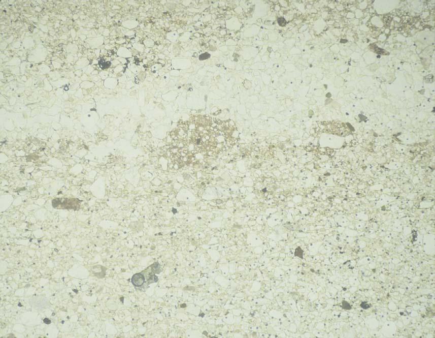 lineacja ziarnowa grain lineation pomost ziarnowy grain stack mikroklast gliniasty till pellet pêkniête ziarno crushed grain domena domain Ryc. 5. Stanowisko Obórki.