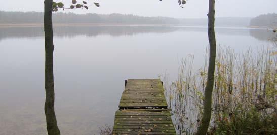Znajdują się tutaj jedne z największych i najczystszych jezior w Polsce: Powidzkie i Skorzęcińskie (Niedzięgiel).
