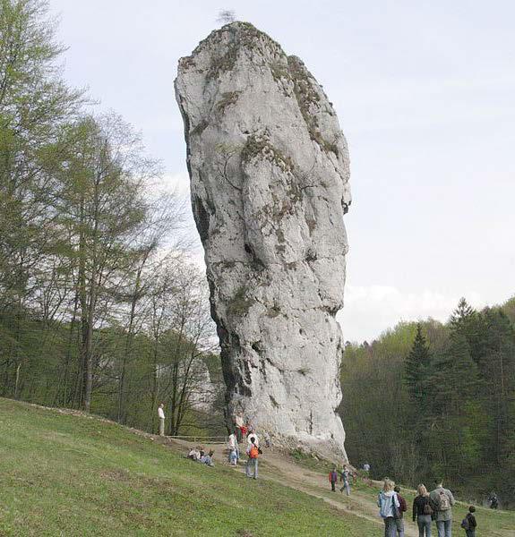 Ojcowski Park Narodowy Obejmuje płd. część Wyżyny Krakowsko-Częstochowskiej z charakterystyczną rzeźbą krasową rozwiniętą w obrębie wapieni jurajskich.