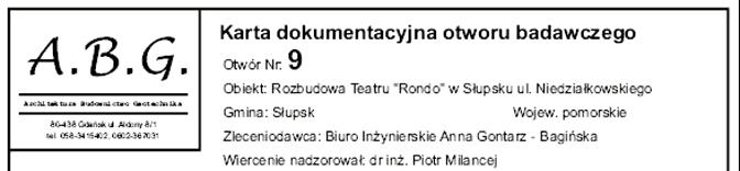 KARTA DOKUMENTACYJNA OTWORU BADAWCZEGO (STARA KLASYFIKACJA) Informacje, które muszą być zamieszczone na