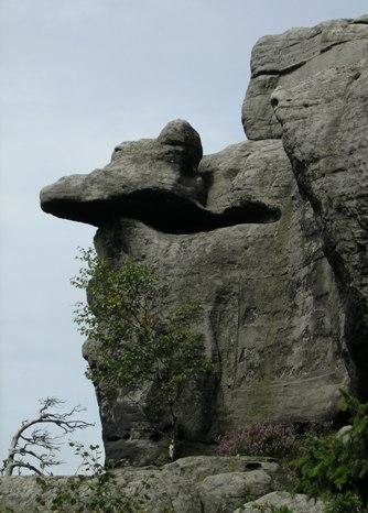 Budowa geologiczna Zróżnicowana geologia poszczególnych pasm Skały osadowe (zlepieńce, piaskowce,