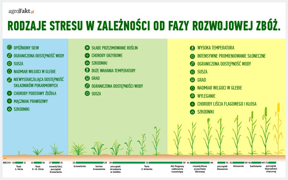 https://www. W zależności od fazy rozwojowej zboża są narażone na różnorodne czynniki, które wywołują w nich stres.