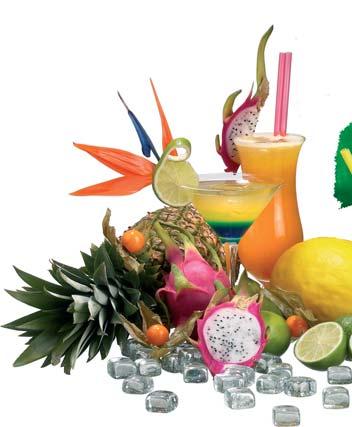 Hamilton Beach Blender barowy Idealny do smoothies, margarity, daiquiris, mrożonego cappuccino, granitees itp.