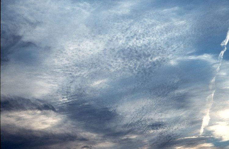 Altocumulus