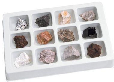 Kolekcja 90 23 9 skamielin: amonit, mszywioł, skamieniałe drewno, mięczak, paproć kopalna, liliowiec macierzysty, koral, ząb rekina, ramienionóg.