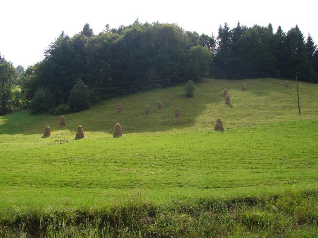 Karpaty siła