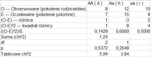 Homozygoty dominujące AA powstają po zapłodnieniu komórki jajowej z allelem A plemnikiem niosącym ten sam allel i prawdopodobieństwo takiego zdarzenia to iloraz prawdopodobieństwa, że każda z tych