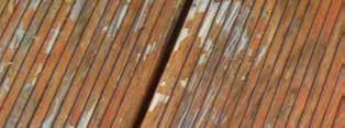 powierzchni nie jest konieczne Zestaw składa się z: - 2,5 l Holz-Tiefenreiniger w postaci żelu - Specjalnej szczotki do szorowania - Wąskiej szczotki do żłobkowań tarasu - Szczotki można nakręcać na