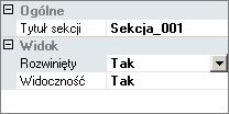 Rysunek 73. Grupa Ogólne w edytorze raportu Po zaznaczeniu nowo dodanej sekcji w prawej górnej części edytora, w oknie edycji możliwe będzie dodanie elementów filtru.