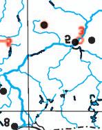 Na górnej powierzchni owocnika hubiaka rosło 21, a na hymenoforze 194 owocniki suchogłówki, wysokości do 3 mm, średnicy główki ok. 1,5 mm (ryc. 2). 2. Zbocza Średniego Wierchu, wys. do 780 m n.p.m., buczyna karpacka, na 3.