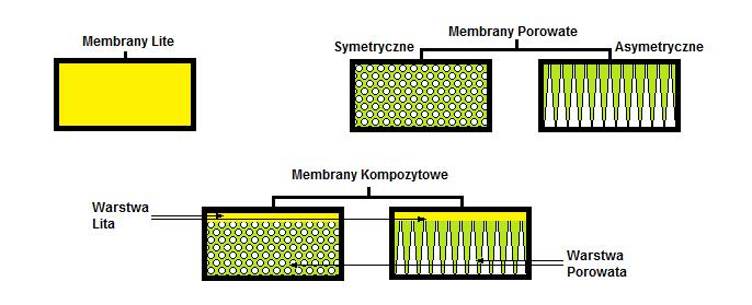 Rys 3. Podział membran ze względu na ich budowę.