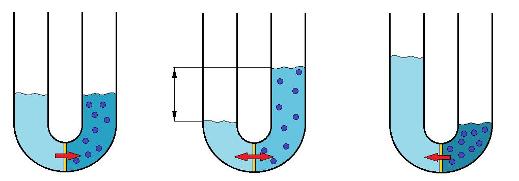 Podobnie jak w MF separacja w ultrafiltracji zachodzi dzięki efektowi sitowemu, a w procesie usuwane są cząstki o wielkości do 2nm.