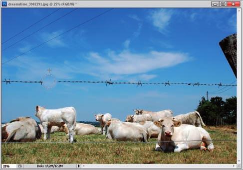 160 Photoshop CS5 PL. Szkoła efektu ÁÁ Chcemy usunąć z obrazu druciane ogrodzenie.