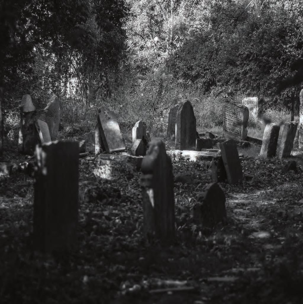 Cmentarz Kirkut S tary Kirkut, znajdujący się obecnie przy ul. Kalinowszczyzna, przez setki lat służył lubelskim Żydom jako miejsce pochówku dla bliskich zmarłych.