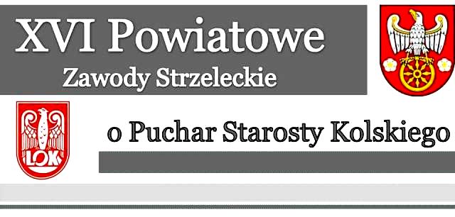 W kategorii juniorów I miejsce zawodnicy naszego Gimnazjum W kategorii indywidualnej dziewcząt: I miejsce Kamila Szafrańska II miejsce Anna Piguła III miejsce Michalak Weronika Drużyna dziewcząt: I