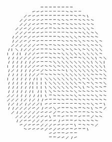 Determination of the directional 227 Correction of the direction (, ) in the segment (, ) consists in the calculation of the new direction (, )= (, )+ (, ).