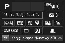 Tryb wyzwalania migawki Korekcja balansu bieli Przysłona Priorytet jasnych partii obrazu Czułość ISO Korygowanie błysku Auto Lighting Optimizer (Automatyczny optymalizator jasności)