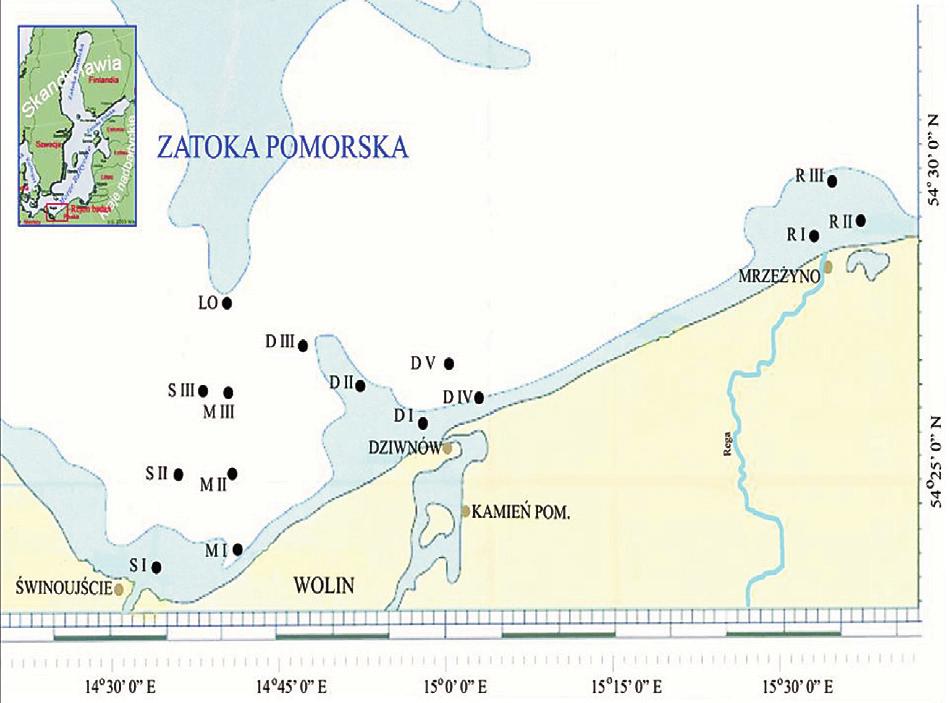 Na zespół ekologiczny planktonu zwierzęcego w Bałtyku składają się przede wszystkim różne skorupiaki planktonowe, wrotki, jamochłony, strzałki, pierwotniaki, ogonice oraz larwy ryb, robaków,