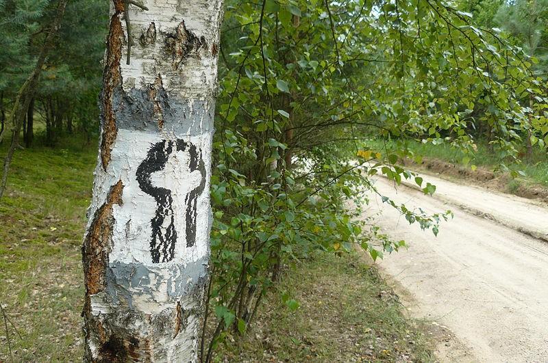 Szlak prowadzi przez większość zachodniej i południowej Polski, aczkolwiek największe zabytki można podziwiać na trasie od Niziny