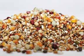 2,5% KUKURYDZA POPCORN 5% KUKURYDZA POPCORN 15% GROSZEK PTASI ZIELONY 15% SORGO CZERWONE 20% DARI WŁOSKIE 20% PELUSZKA ARVIKA 5% WYKA CZRNA 5% RYŻ BIAŁY 2,5% RYŻ