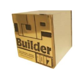 NAGRODY I WYRÓŻNIENIA TOP BUILDER 2017 Statuetka TOPBUILDER 2017 w