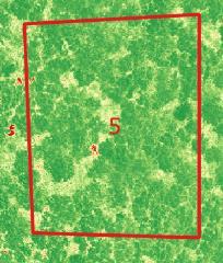 ROI 2 - IGLASTE ROI 5 - LIŚCIASTE 1,20 0,09 1,00 0,08 1,00