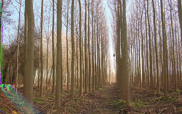 OXYTREE OSZCZĘDZANIE, KTÓRE SIĘ OPŁACA INWESTYCJA Z GWARANTOWANYM ZYSKIEM? TAK, TO MOŻLIWE!