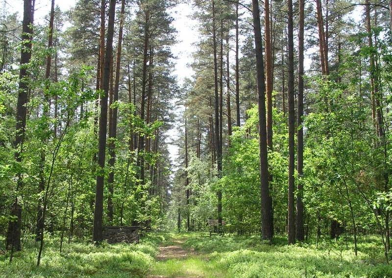północno-wschodniej Europy, lasami liściastymi (z dębami i bukami), typowymi dla łagodnych