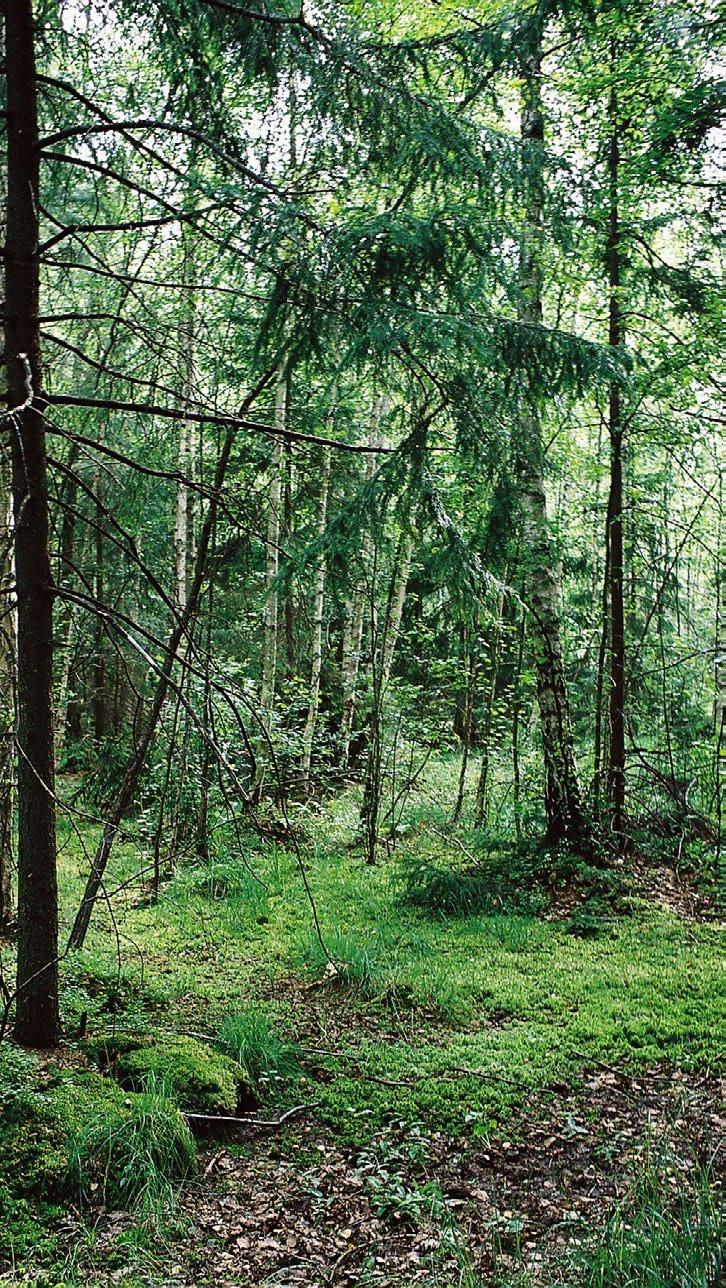 Obecnie najwięcej jest u nas tzw. gatunków przechodnich (przejściowych) czyli obecnych także poza naszym krajem. Mniej jest gatunków, których granica występowania przechodzi przez obszar Polski.