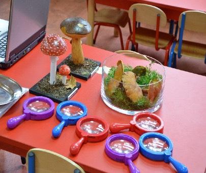 Dzieci ćwiczą swoją spostrzegawczość, porównując różne bakterie i wirusy, a następnie uczą się wykonać prosty preparat mikroskopowy.