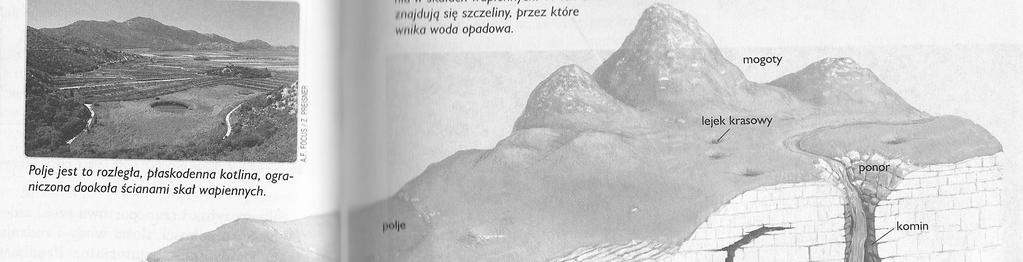 Etapy tworzenia węgla: a) gorący i wilgotny klimat, na bagiennym podłożu rośnie bujna roślinność, z ich szczątków powstaje torf b) zapadanie torfowiska, zasypywanie osadami piasków, żwiru i iłu