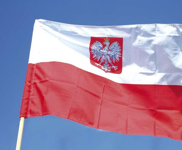 Sukces, jakim niewątpliwie było osiągnięcie niepodległości, jest przede wszystkim zasługą Polaków, ich kreatywności i innowacyjności.