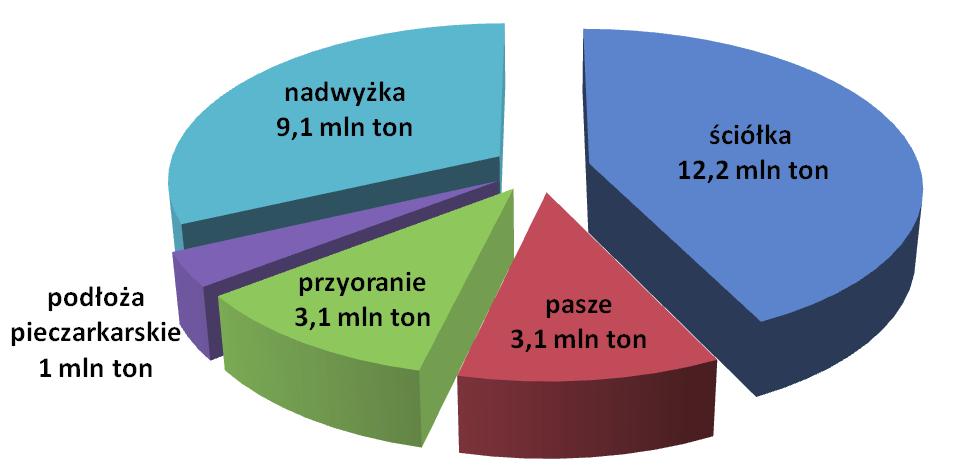 Na mocy obowiązujących przepisów uczestnikami tego rynku mogą być rolnicy i producenci rolni oraz zarejestrowane w Agencji Rynku Rolnego przedsiębiorstwa skupujące i przetwarzające biomasę.