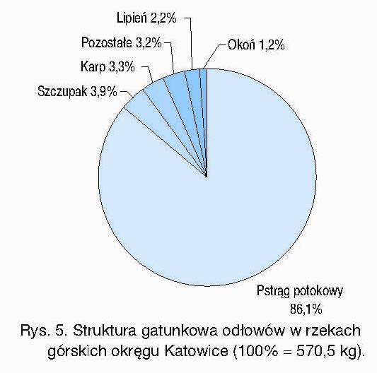 gatunkowym zarejestrowanych odłowów (Rys. 4) przeważały te same dwa gatunki karpiowate leszcz i płoć, stanowiące odpowiednio 37,4% i 19,8%.