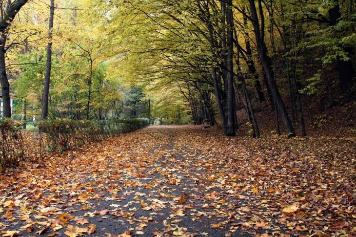 Park Miejski założony przez Wojciecha Biechońskiego Wartym odwiedzenia jest Park Miejski im. Wojciecha Biechońskiego, położony w widłach rzek Ropy i Sękówki.