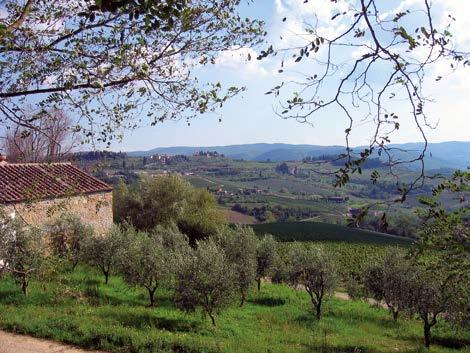 Toskania Winnica Antinori od 26 pokoleń należąca do rodziny jej założyciela Giovanni di Piero Antinori, w znaczący sposób przyczyniła się do rozwoju i popularności włoskiego winiarstwa.