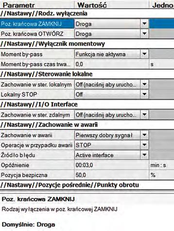 Objaśniają one w krótkiej formie wybrane parametry i podają wartość domyślną.