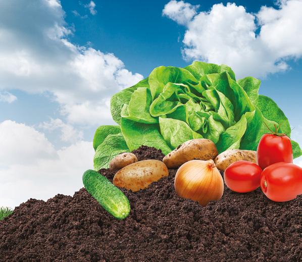 DZIAŁA OD PODSTAW Grupa produktów EKONOM to środki stosowane zapobiegawczo w uprawie ziemaniaków, warzyw,