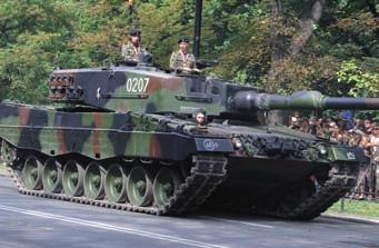 Ulicami miasta maszerują piesi oraz pododdziały konne. W paradzie uczestniczą zabytkowe pojazdy militarne. Interesującym punktem programu jest też pokaz musztry.