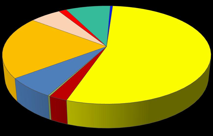 Struktura inwestycji Kultura 38.258 tys. zł 5,7% Ogrody botaniczne i zoologiczne 9.700 tys. zł 1,4% Sport 55.010 tys. zł 8,1% Pozostałe inwestycje 3.101 tys.