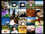Przeglądanie menu obrazów Menu obrazów pokazuje wiele obrazów na pojedynczym ekranie. 1. W trybie PLAY, przesuń dźwignię zoom w kierunku w (]). Pojawi się menu obrazów.