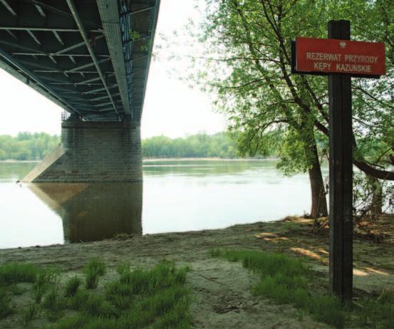 Do ważniejszych miast położnych w pobliżu lub w granicach obszaru Natura 2000 należą: Puławy, Dęblin, Kozienice, Góra Kalwaria, Warszawa, Nowy Dwór Mazowiecki, Zakroczym, Wyszogród i Płock.