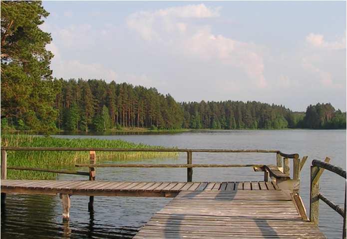 biologiczne, które odzwierciedlają stan zakłócenia środowiska -odchylenie od stanu referencyjnego (niezakłóconego, wzorcowego) fitoplankton PMPL (Indeks Fitoplanktonowy dla Polskich Jezior) makrofity