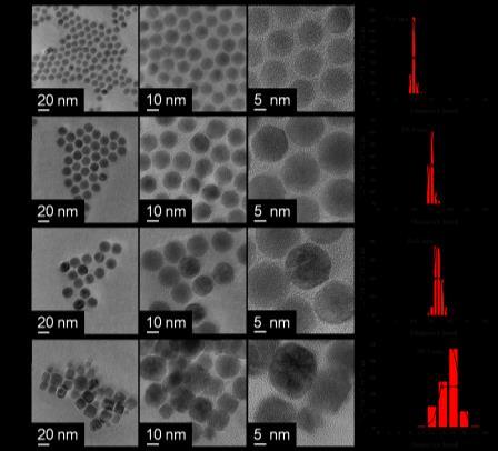 ) TEM, FEI Tecnai G2 20, X-TWIN (LaB 6 ) POSTAĆ PRÓBKI: nanocząstki, cienkie folie; cieńsze