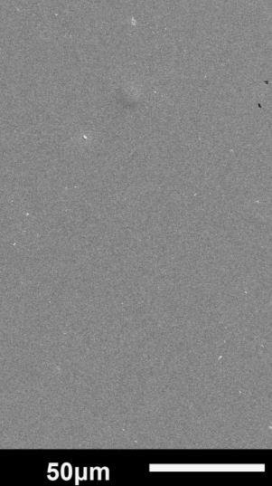 Powłoki z wolframu osadzane wiązką o długości fali 355 i 1064 nm są gładkie i na ich powierzchni znajdują się pojedyncze mikrocząstki o regularnym kształcie (rys. 34 a).
