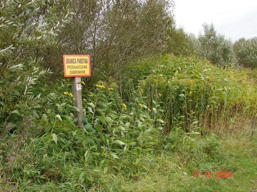 potrafi on biernie utrzymywać się na dotychczasowych miejscach swego