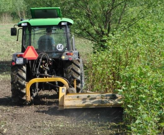 kontrolą należy objąć wprowadzanie do uprawy w celach ozdobnych