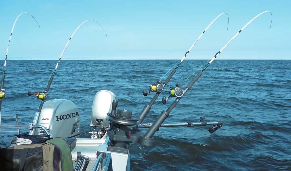 Boat Master CHAMPION Dwa bardzo długie, dwuczęściowe wędziska spinningowe, lekkie i czułe, stosowane przez członków Kadry Narodowej.